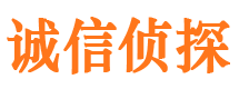 杂多市调查公司